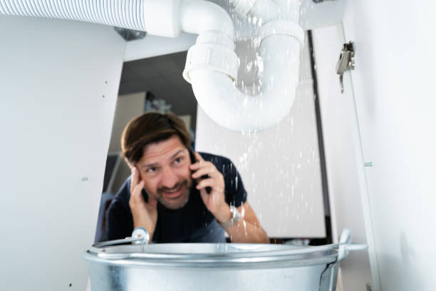 Best Clogged Drain Plumber  in Pinckney, MI