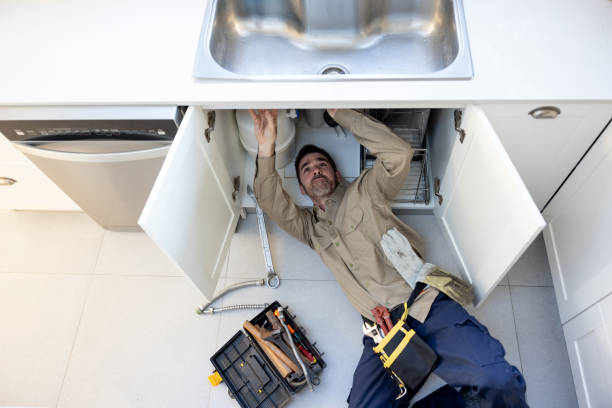 Best Affordable Plumbing Services  in Pinckney, MI