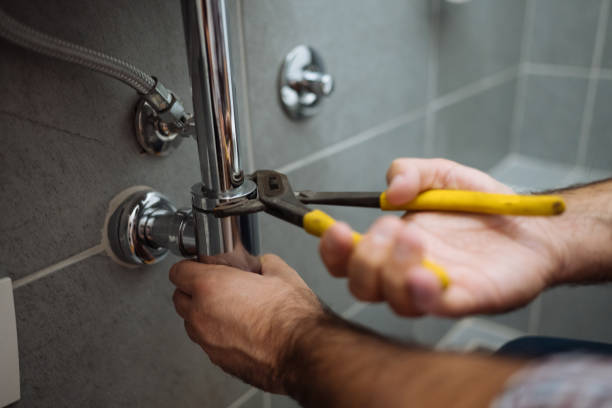Best Commercial Plumbing Services  in Pinckney, MI