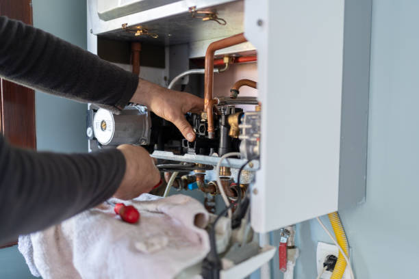 Best Clogged Drain Plumber  in Pinckney, MI
