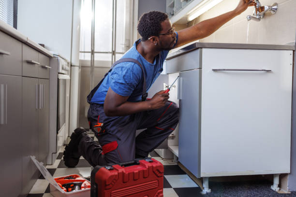 Best Residential Plumbing Services  in Pinckney, MI