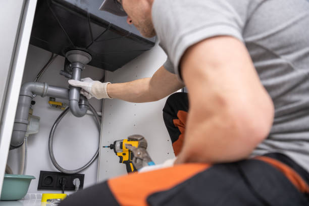 Best Local Plumber Services  in Pinckney, MI