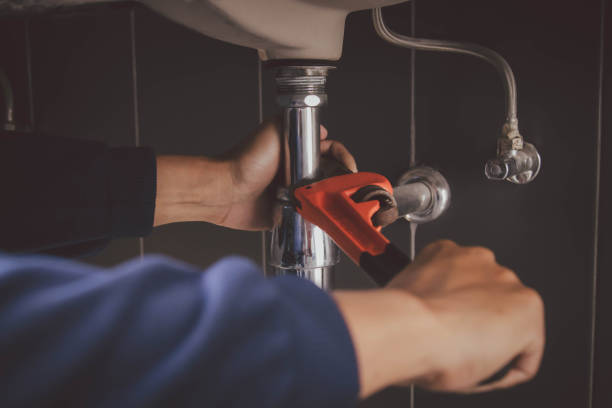 Best Toilet Repair Services  in Pinckney, MI
